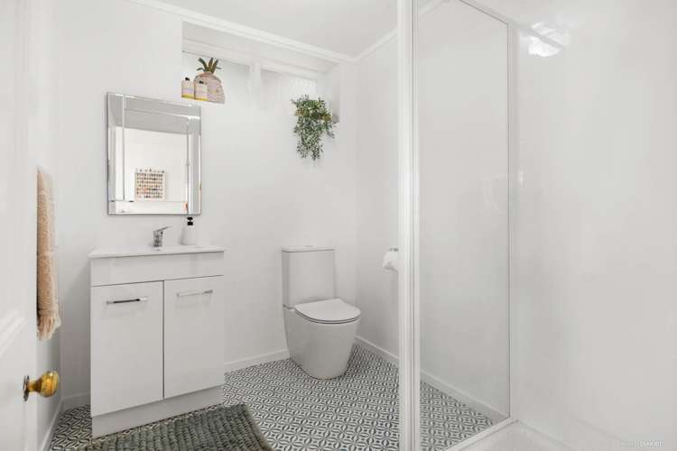 5 Alexander Street Kingsland_14