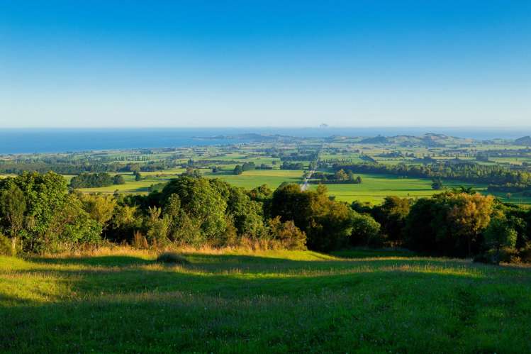 759 Mount Fyffe Road Kaikoura Surrounds_25