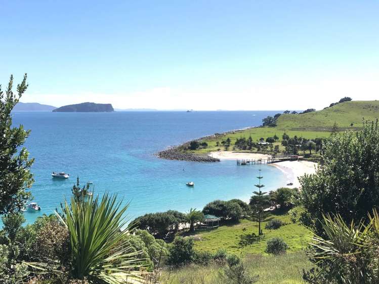 190 Pacific Ocean, Slipper Island (Whakahua) Thames_4