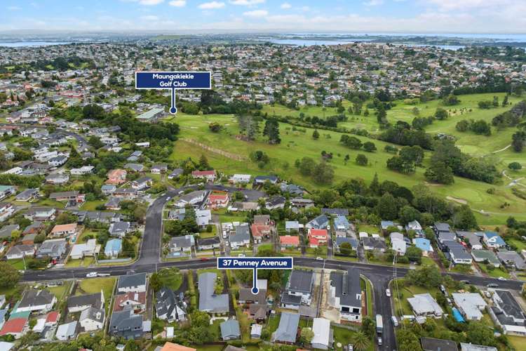 37 Penney Avenue Mount Roskill_23