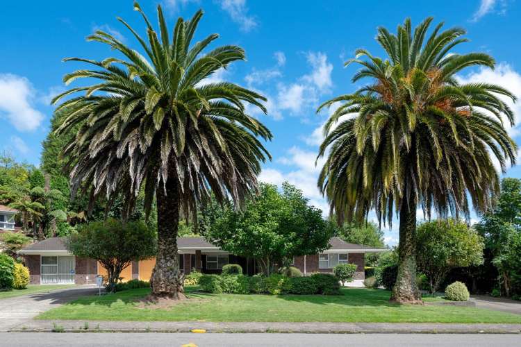 3 Tihi Road Springfield_19