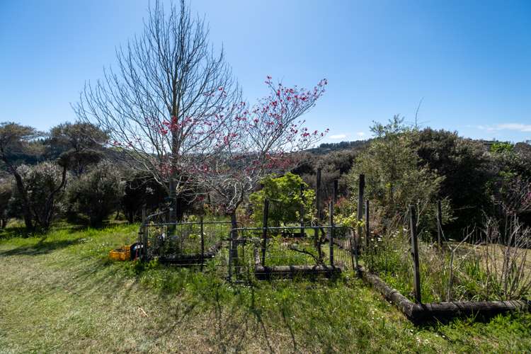 125b Frantoio Ridge Road Mangonui_28