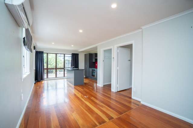 374 Albert Street Hokowhitu_1