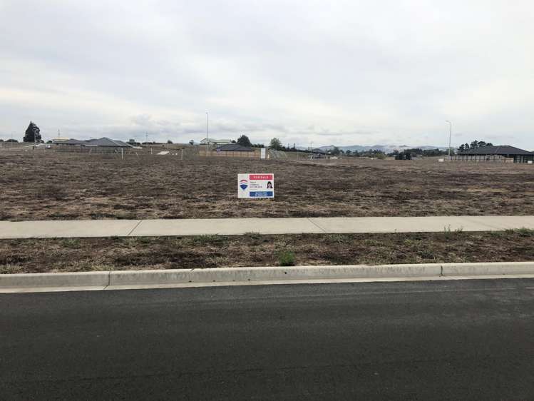 Swan Road Te Kauwhata_15