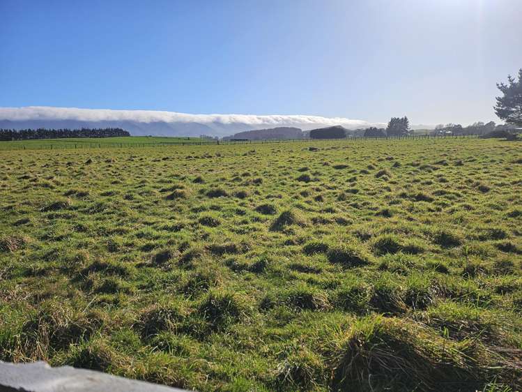 35 Laws Road Dannevirke_23