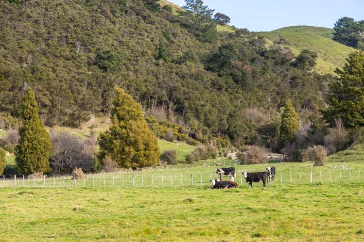 809 Norfolk Road Carterton_16