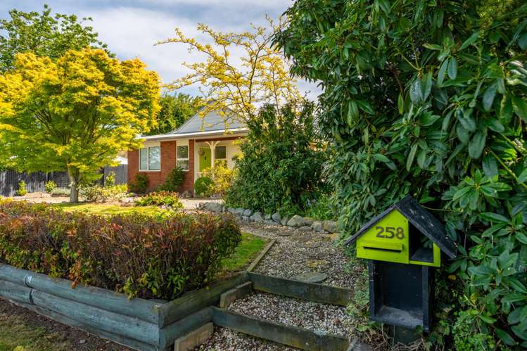 258 Talbot Street Geraldine_19