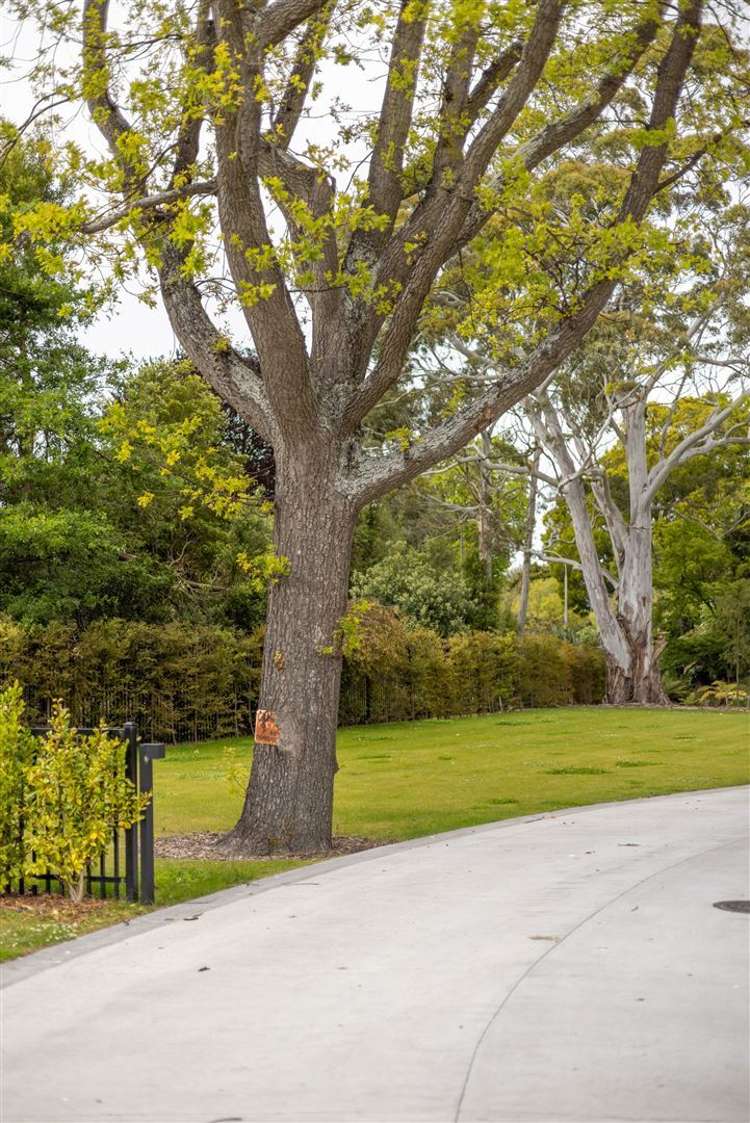 67c Fendalton Road Fendalton_6