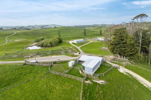 300 Pattison Road Waipukurau_3