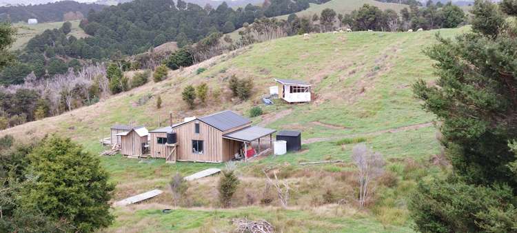 Lot 1/116 Bull Road Paparoa_29