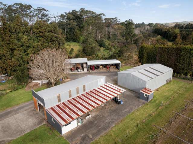 75 Walford Road Aongatete_2