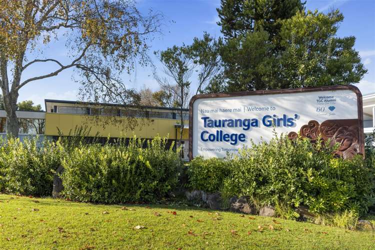 1134 Cameron Road Gate Pa_6