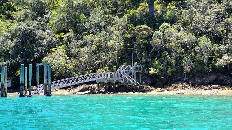 Lots 1&260 Cable Bay Kawau Island_4