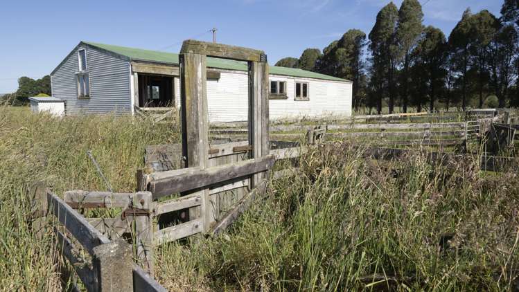 43 Taumata Island Road Carterton_7