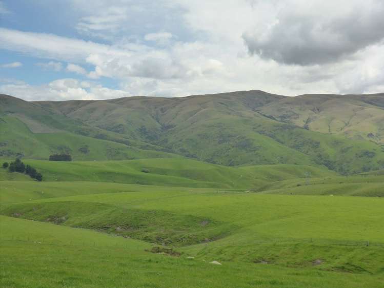 902 Moa Flat Road Ettrick_13