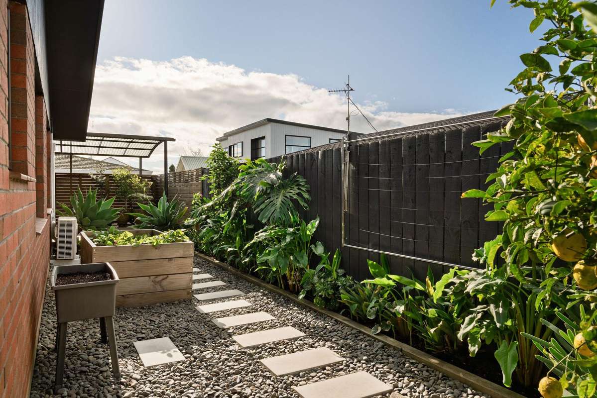 2/419 Maunganui Road_5