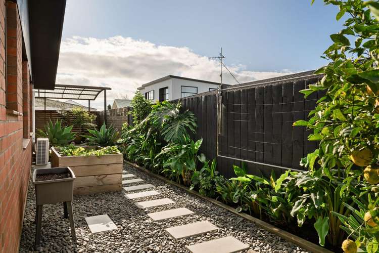 2/419 Maunganui Road Mount Maunganui_11