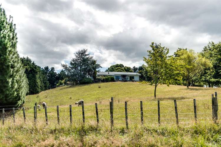 134 Otamauri Road Otamauri_16