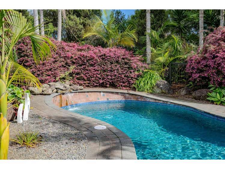 50B Equestrian Drive Kerikeri_9