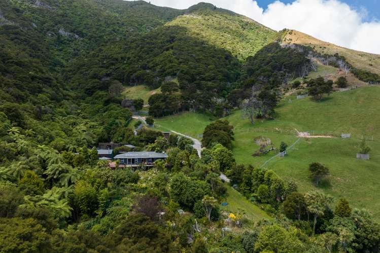 Lot 1 Anakoha Bay Marlborough Sounds_48