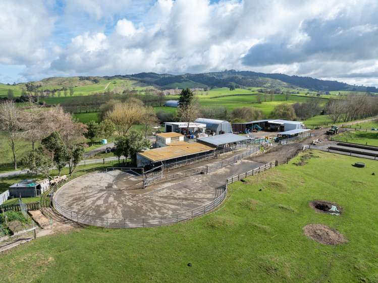 180 Cameron Road Morrinsville_3