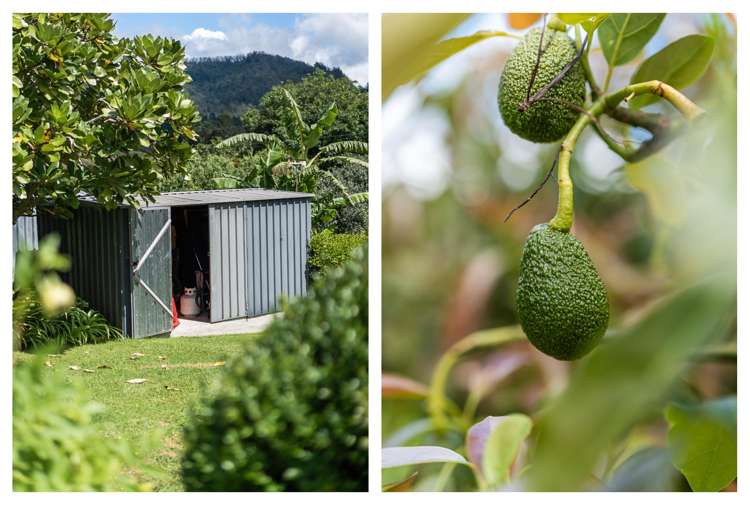 38 Tanners Point Road Tanners Point_44