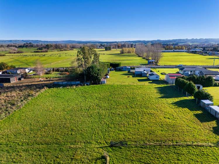 Toko Mouth Road Milton_6