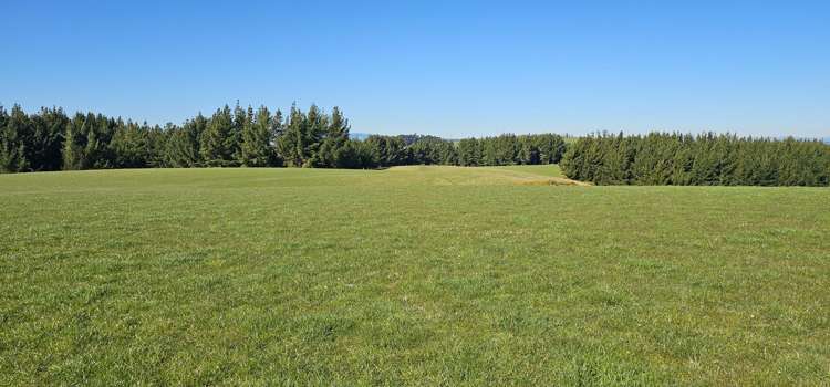 565 Bushy Park Road Waikaka_13