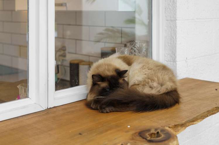 14 Williams Drive Te Puke_17