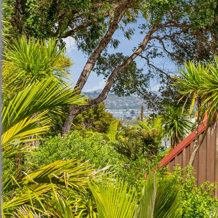 19 Jacaranda Avenue Beach Haven_22