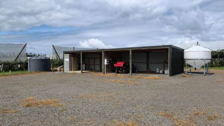 27 Orangewood Road Kerikeri_15