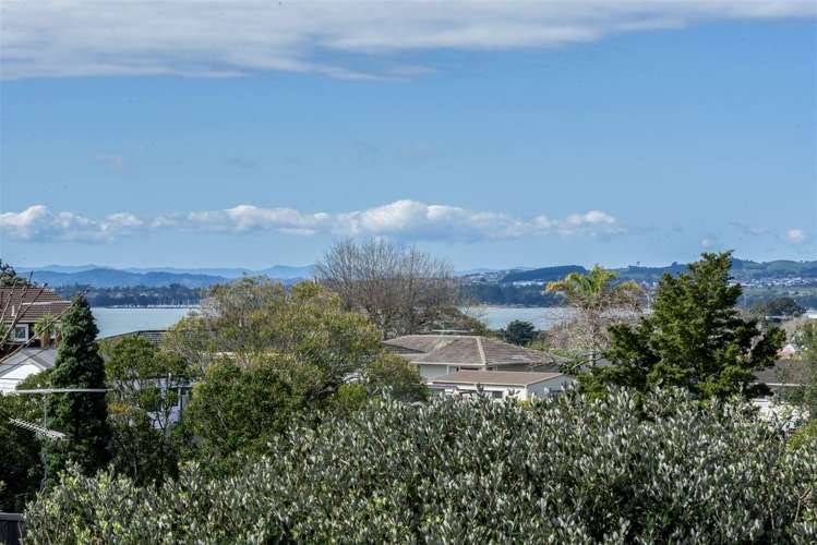 80 Alexander Street Cockle Bay_29