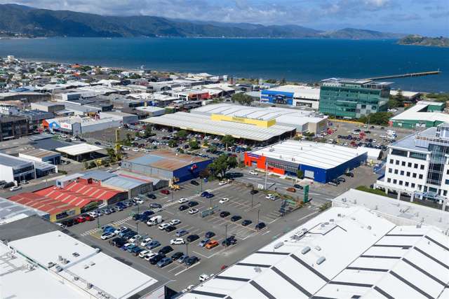112 Jackson Street Petone_1