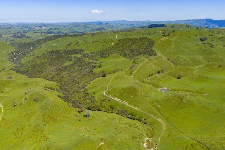 1691 Kawhatau Valley Road Mangaweka_12