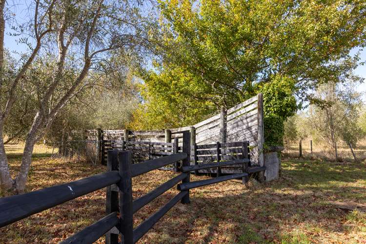 16 Parkers Road Carterton_33