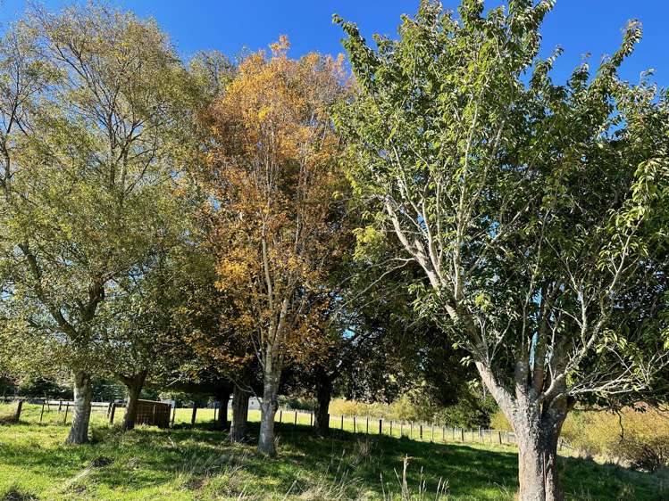 610 Raetihi Ohakune Road Ohakune_6