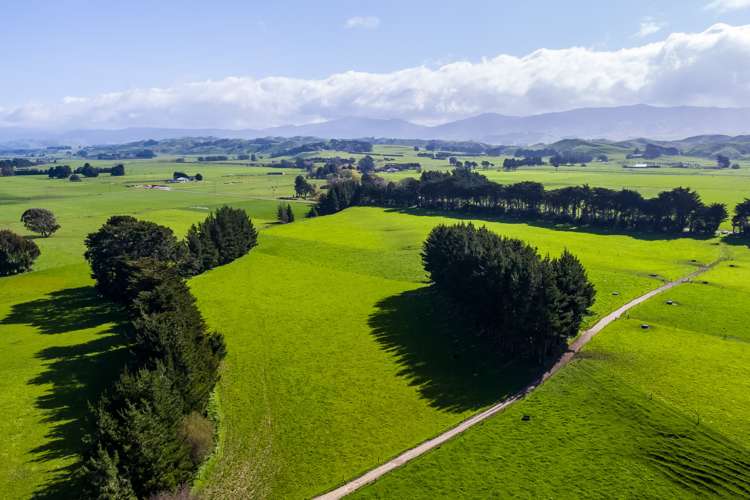 108 Pukewhai Road Pahiatua_9