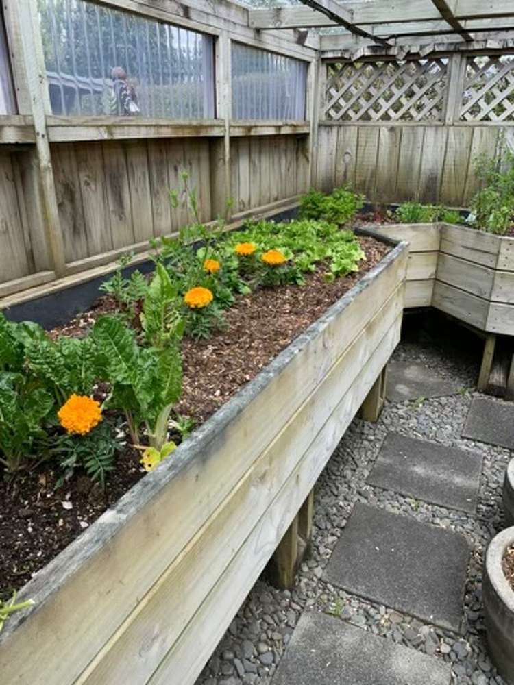 38 Balmoral Drive Hilltop_17