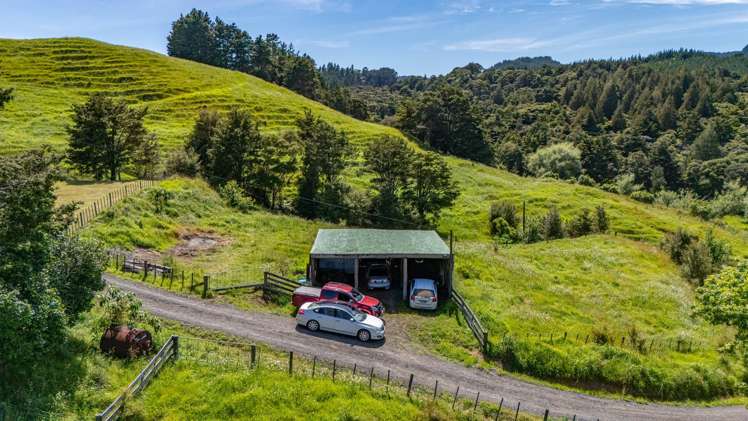 386 Pawarenga Road Broadwood_26