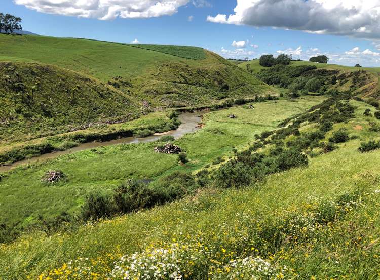 1564 State Highway 31 Kawhia Road Otorohanga_32