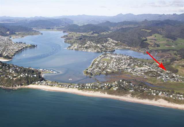 333 Main Road Tairua_1