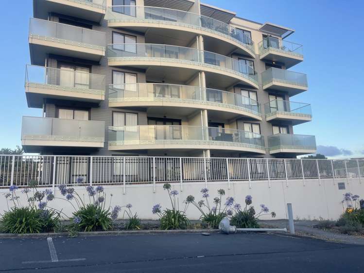 G10/46 Rosedale Road Rosedale_13