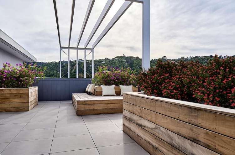 Unit G13/2 Campbell Terrace Petone_1