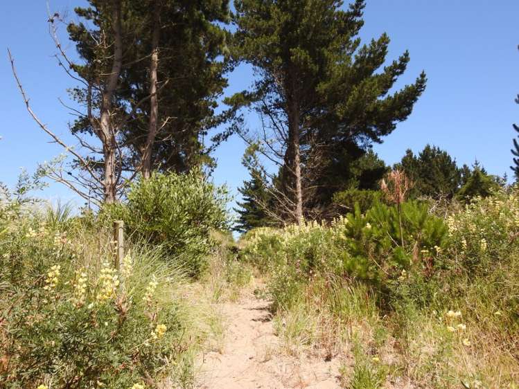 74b Himatangi Street Himatangi Beach_10