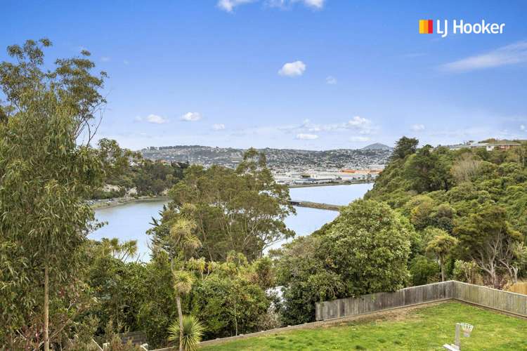 33 Belford Street Waverley_14