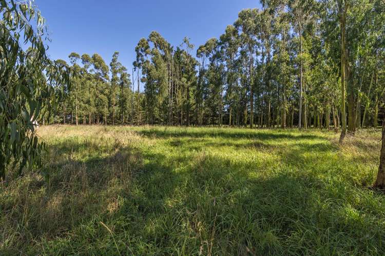 210 Hororata Dunsandel Road Dunsandel_6