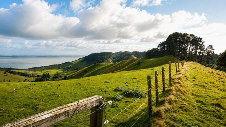 596 Waikare Road Waerenga_20