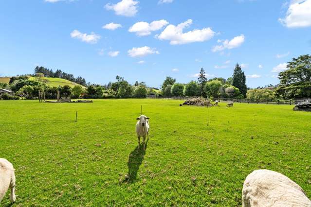 41 Sands Road Glenbervie_4