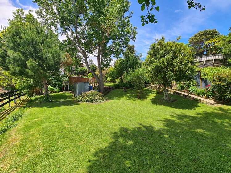 1225 Rings Road Coromandel_16