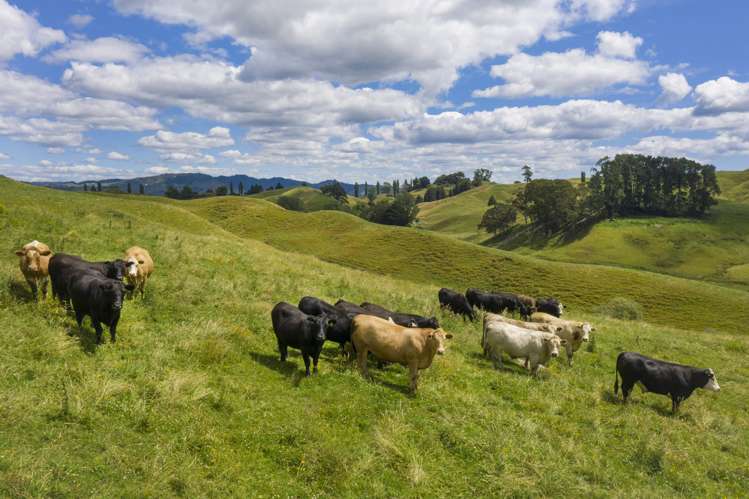 510 Barclay Road Aria_19